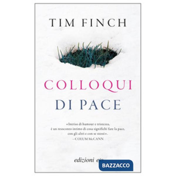 Colloqui di pace