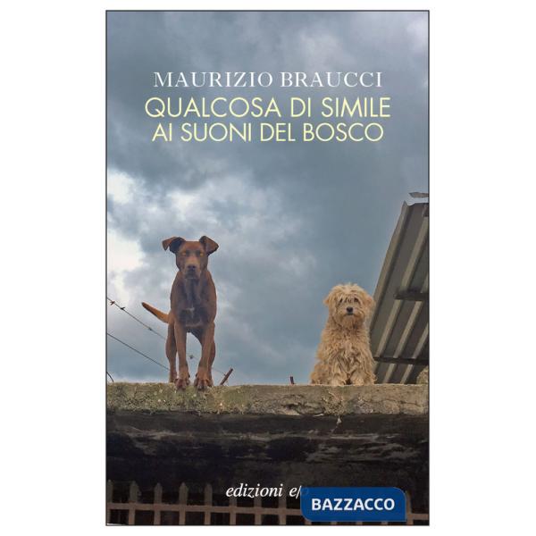 Qualcosa di simile ai suoni del bosco