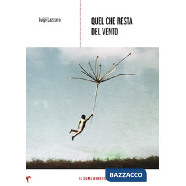 Quel che resta del vento