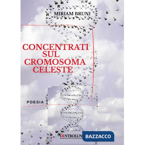 Concentrati sul cromosoma celeste