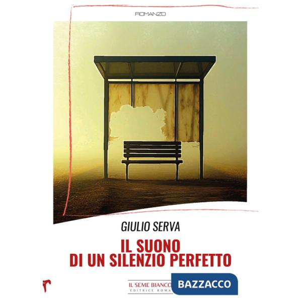 Suono di un silenzio perfetto (Il)