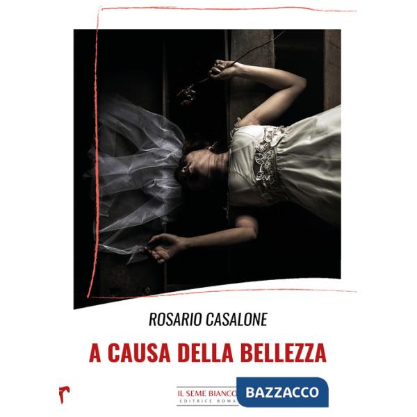 A causa della bellezza