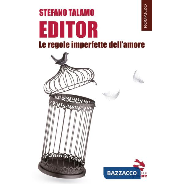 Editor. Le regole imperfette dell'amore