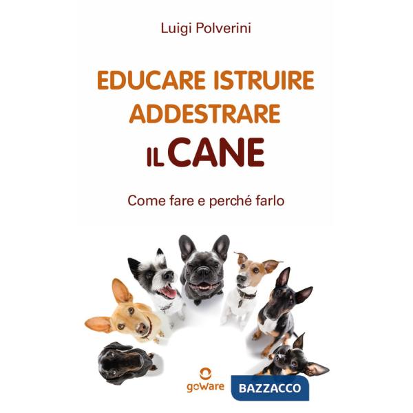 Educare, istruire, addestrare il cane. Come farlo e perché farlo