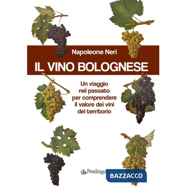 Vino bolognese. Un viaggio nel passato per comprendere il valore dei vini del territorio (Il)