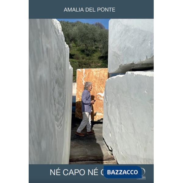 Né capo, né coda. Senza gli alberi, il deserto. Ediz. a colori