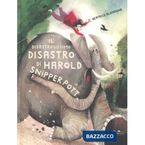 Disastrosissimo disastro di Harold Snipperpot. Ediz. a colori (Il)