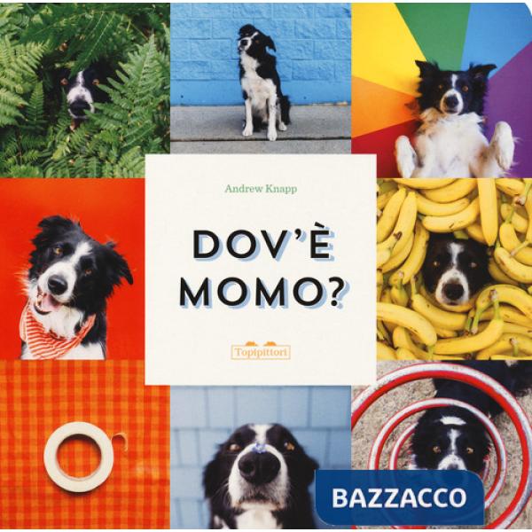 Dov'è Momo? Ediz. a colori