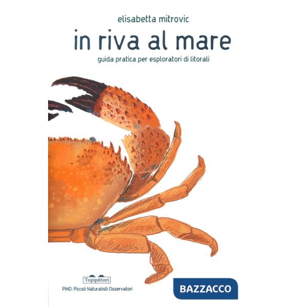 In riva al mare. Guida pratica per esploratori di litorali