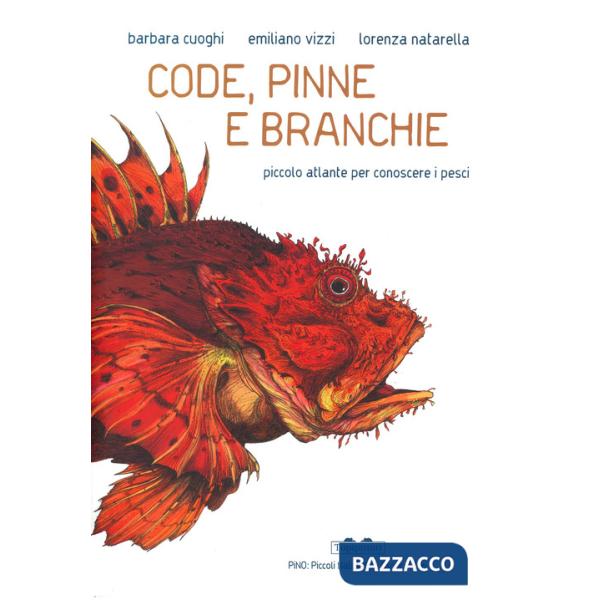Code, pinne e branchie. Piccolo atlante per conoscere i pesci