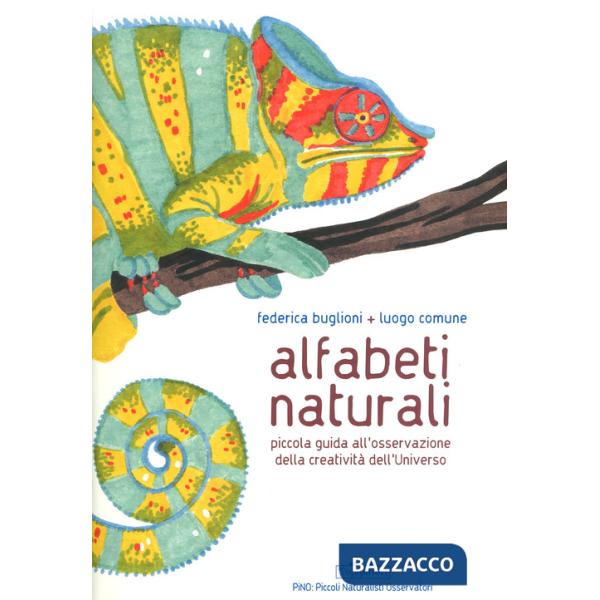 Alfabeti naturali. Piccola guida all'osservazione della creatività dell'universo. Ediz. a colori