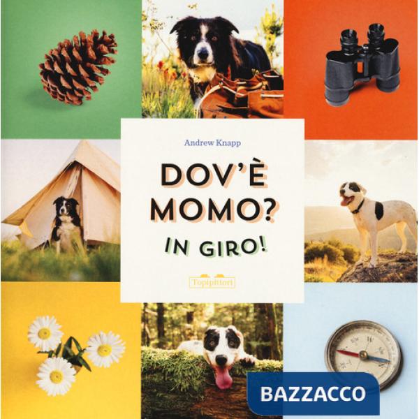 Dov'è Momo? In giro! Ediz. a colori