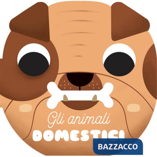 Animali domestici. I musetti. Ediz. a colori (Gli)