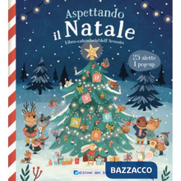 Aspettando il Natale. Libro-calendario dell'Avvento. Ediz. a colori