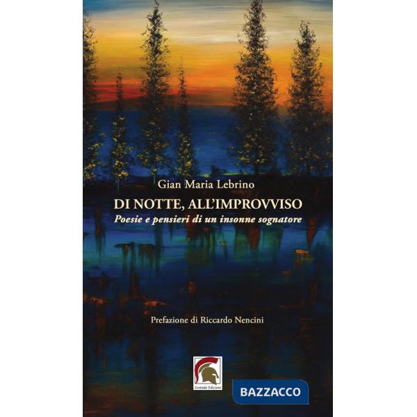 Di notte, all'improvviso. Poesie e pensieri di un insonne sognatore