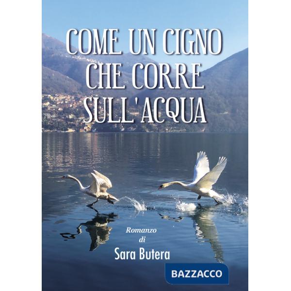Come un cigno che corre sull'acqua