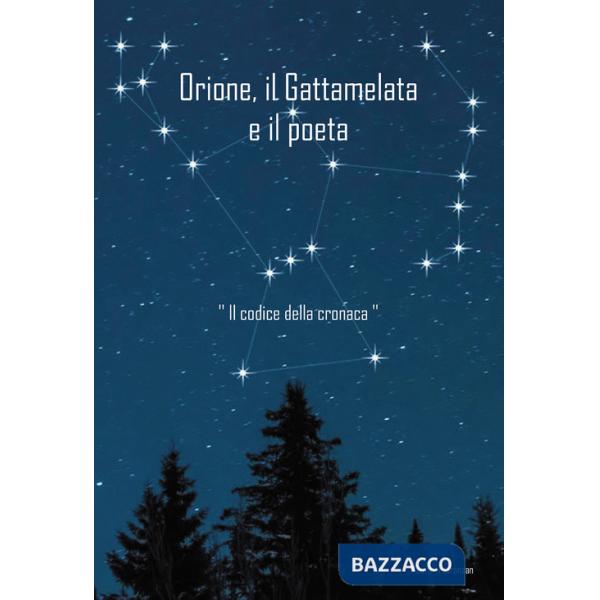 Orione il Gattamelata e il poeta. «Il codice della cronaca»