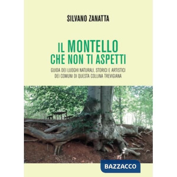 Montello che non ti aspetti. Guida dei luoghi naturali, storici e artistici dei comuni di questa collina trevigiana (Il)