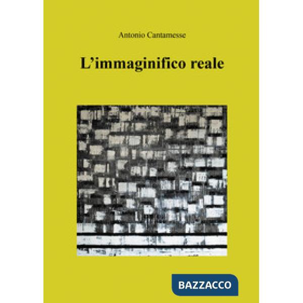 Immaginifico reale (L')