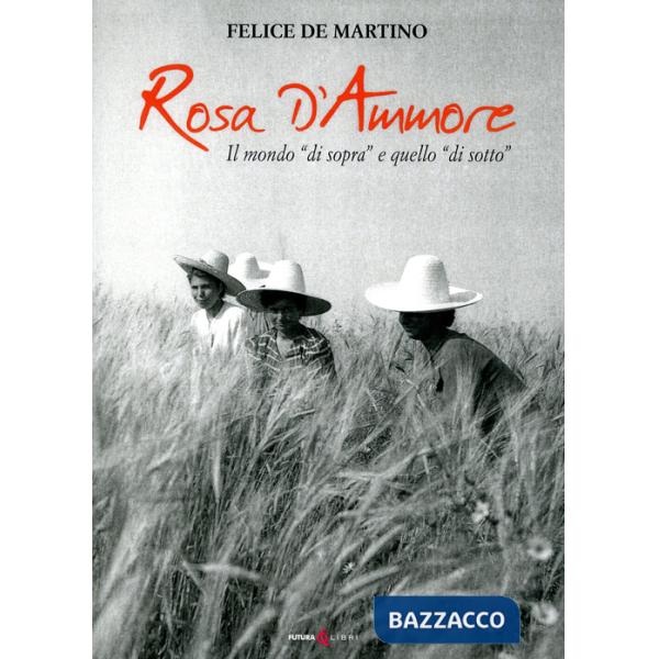 Rosa d'ammore. Il mondo «di sopra» e quello «di sotto»
