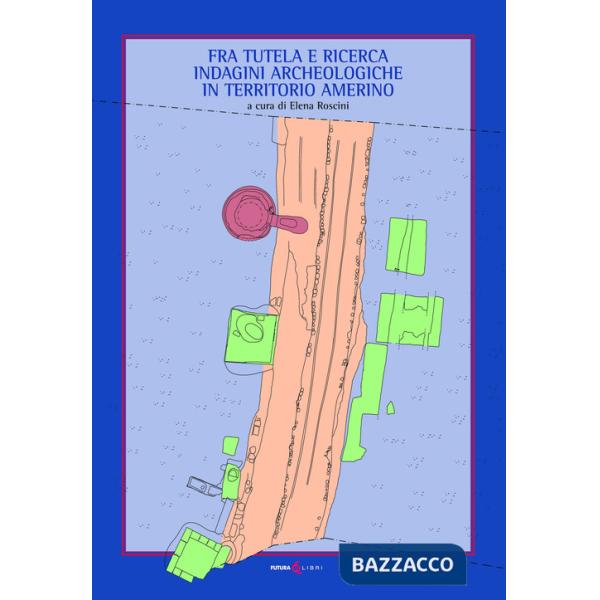 Fra tutela e ricerca. Indagini archeologiche in territorio amerino