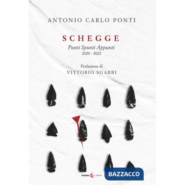 Schegge. Punti spunti appunti 2020-2022