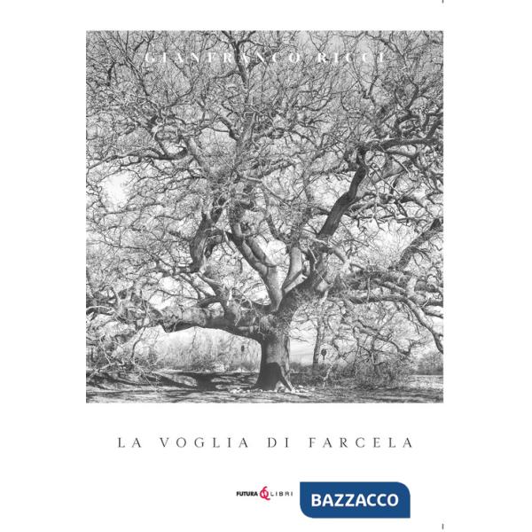 Voglia di farcela (La)