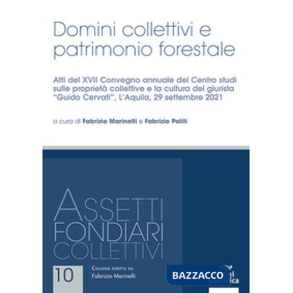 Domini collettivi e patrimonio forestale. Atti del XVII Convegno annuale del Centro studi sulle proprietà collettive e la cultur