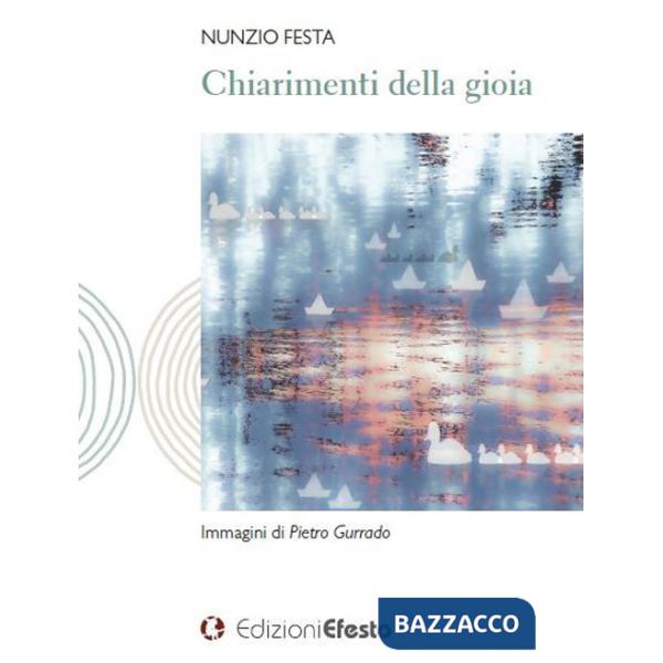 Chiarimenti della gioia