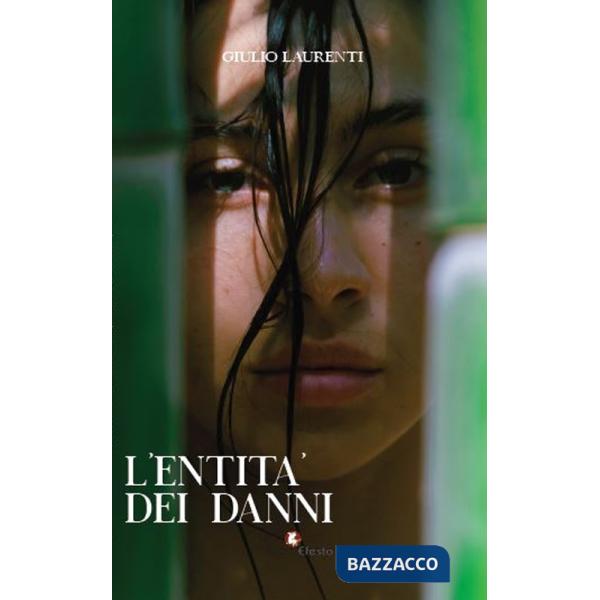 Entità dei danni (L')