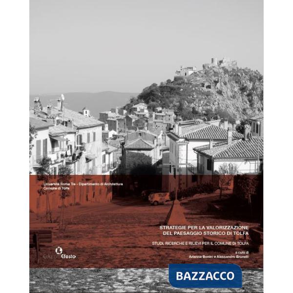 Strategie per la valorizzazione del paesaggio storico di Tolfa. Studi, ricerche e rilievi per il comune di Tolfa