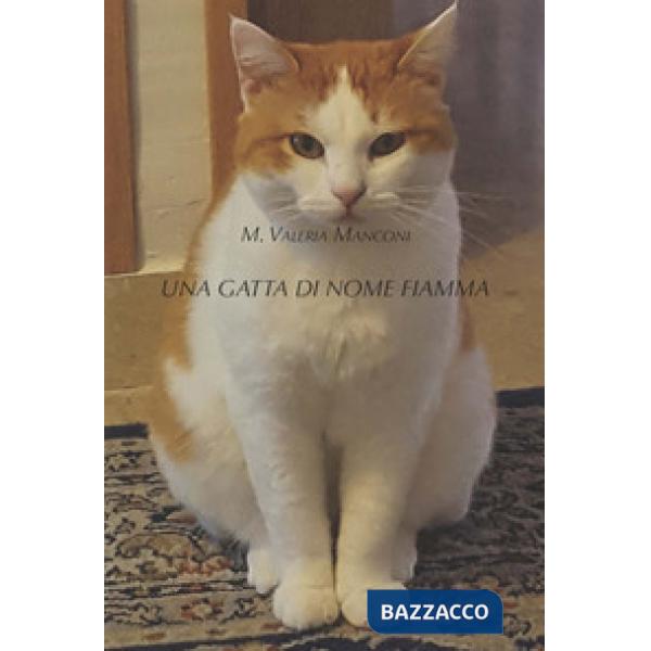 Gatta di nome Fiamma. Ediz. illustrata (Una)