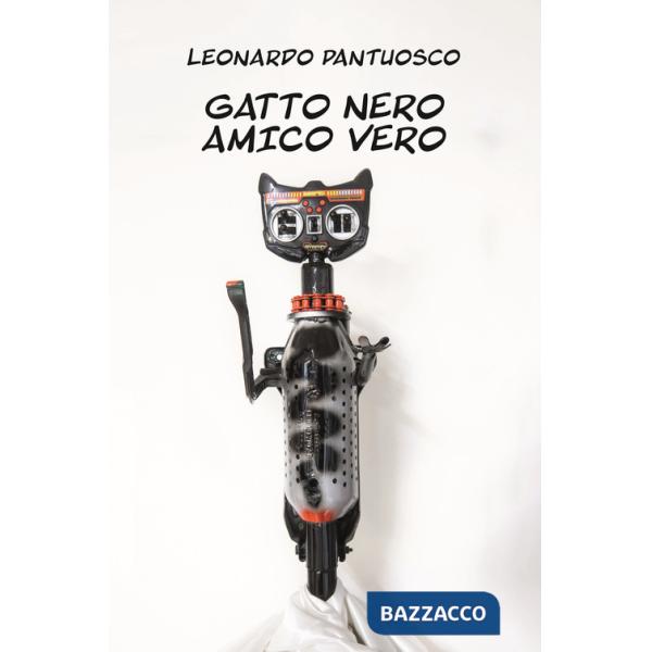 Gatto nero amico vero