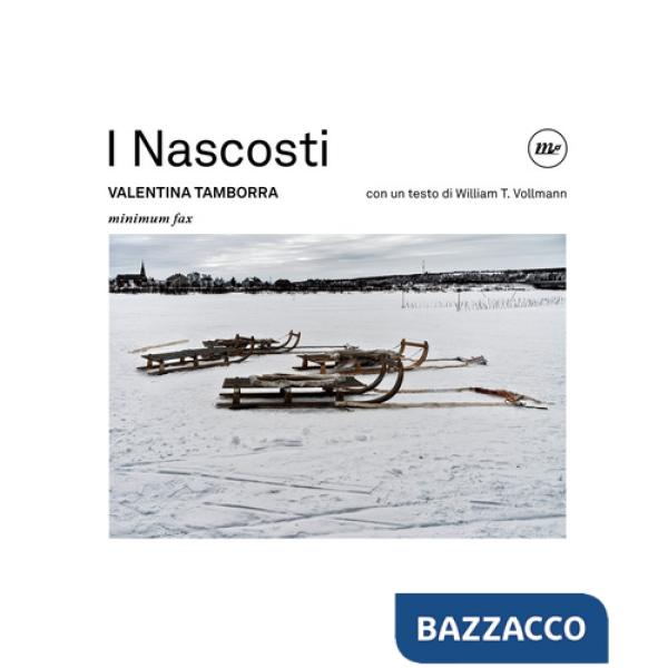 Nascosti. Ediz. illustrata (I)