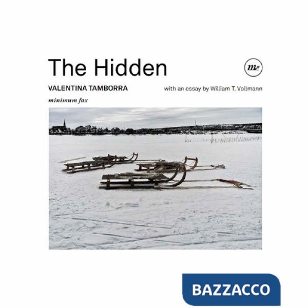 Hidden. Ediz. illustrata (The)