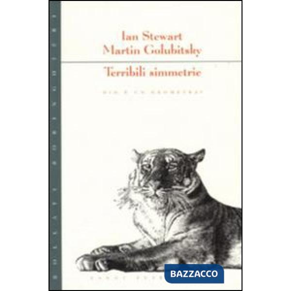 Terribili simmetrie. Dio è un geometra?