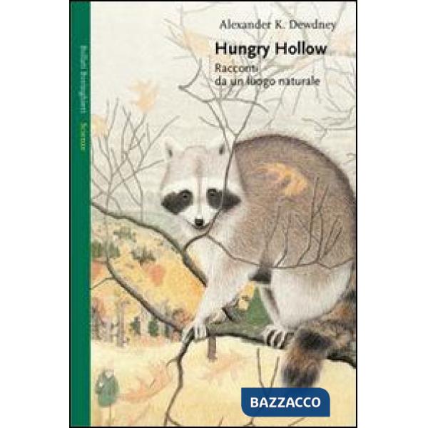 Huygens & Barrow. Newton & Hooke