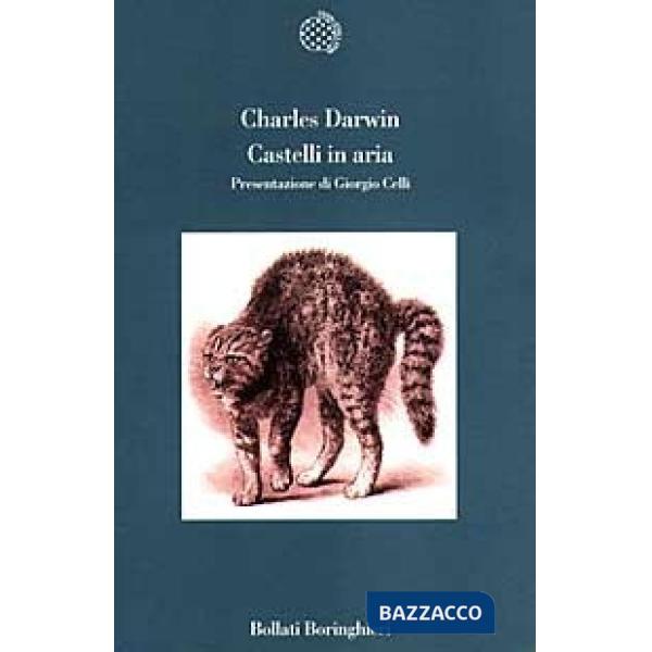 Castelli in aria. Taccuini M. N. Profilo di un bambino