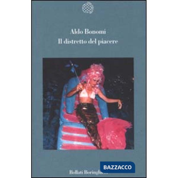 Distretto del piacere (Il)