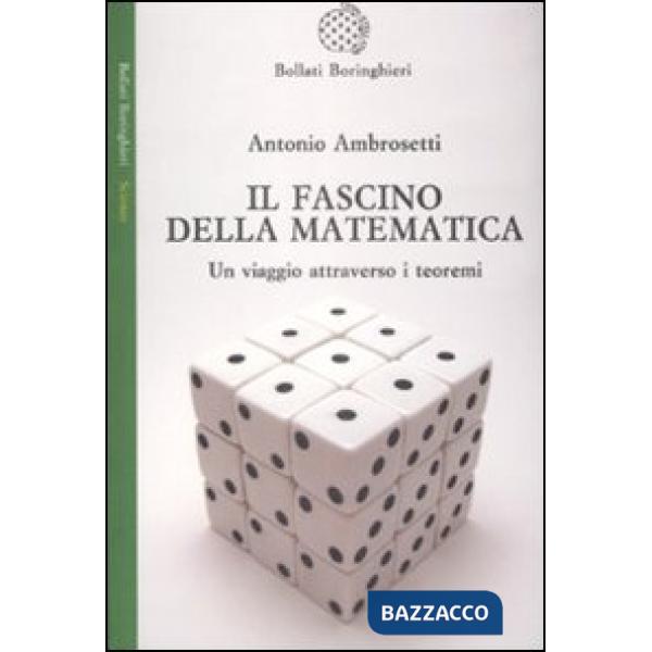 Fascino della matematica. Un viaggio attraverso i teoremi (Il)