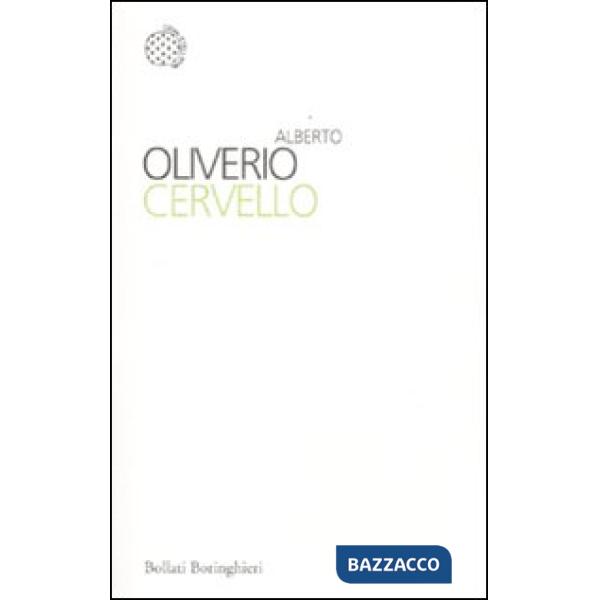 Cervello