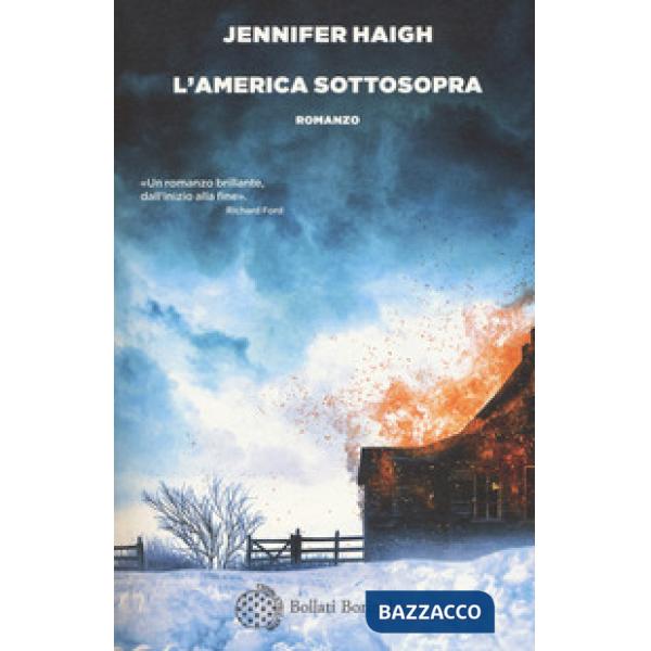 America sottosopra (L')