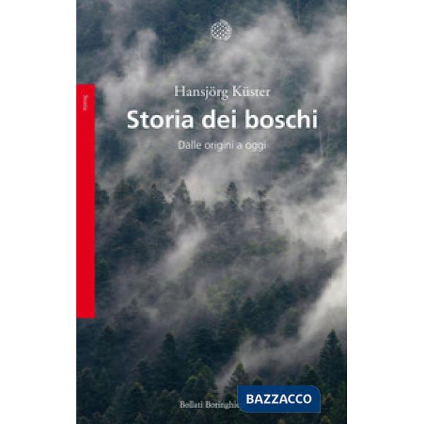 Storia dei boschi. Dalle origini a oggi