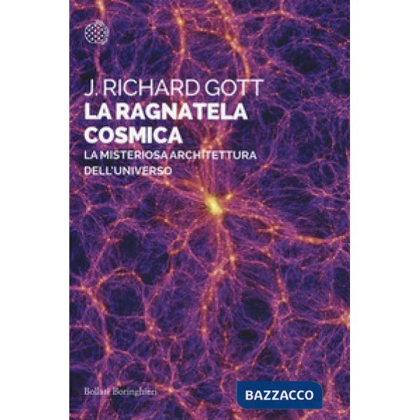 Ragnatela cosmica. La misteriosa architettura dell'universo (La)