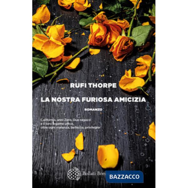 Nostra furiosa amicizia (La)