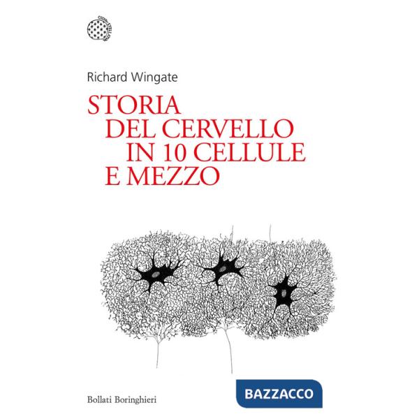 Storia del cervello in 10 cellule e mezzo
