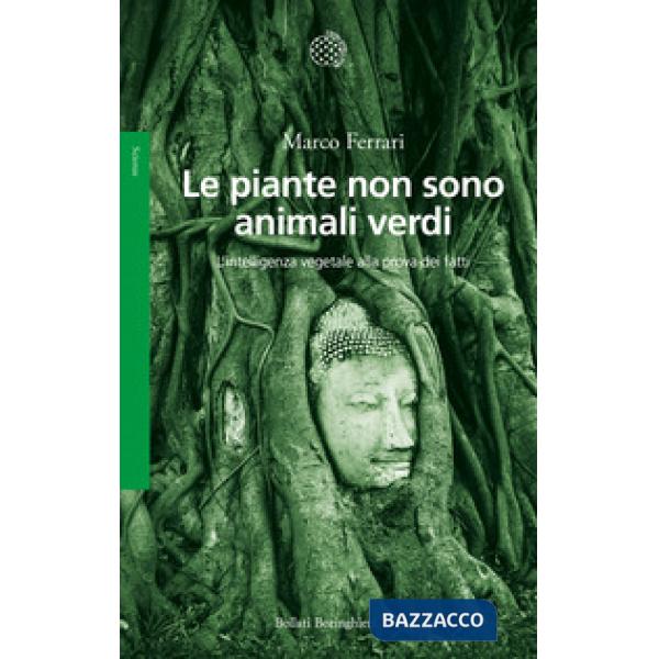 Piante non sono animali verdi. L'intelligenza vegetale alla prova dei fatti (Le)