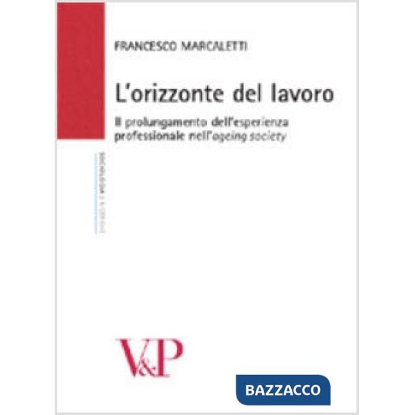 Orizzonte del lavoro. Il prolungamento della vita professionale nell'ageing society (L')