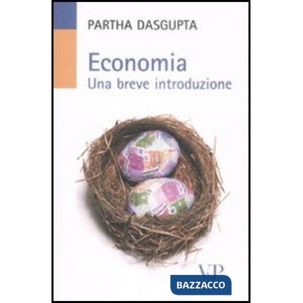Economia. Una breve introduzione