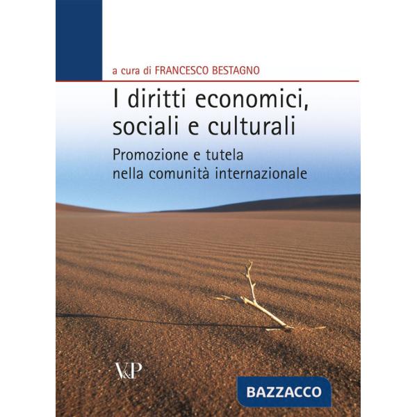 Diritti economici, sociali e culturali. Promozione e tutela nella comunità internazionale (I)